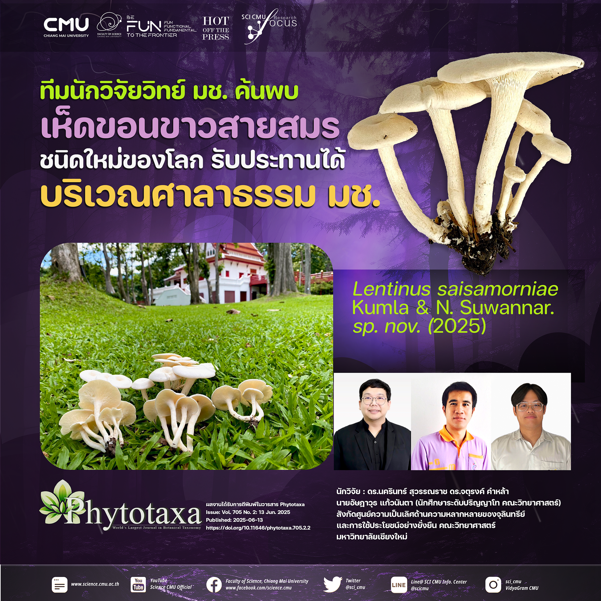 ทีมนักวิจัยวิทย์ มช. ค้นพบเห็ดขอนขาวสายสมรชนิดใหม่ของโลก รับประทานได้ บริเวณศาลาธรรม มช.