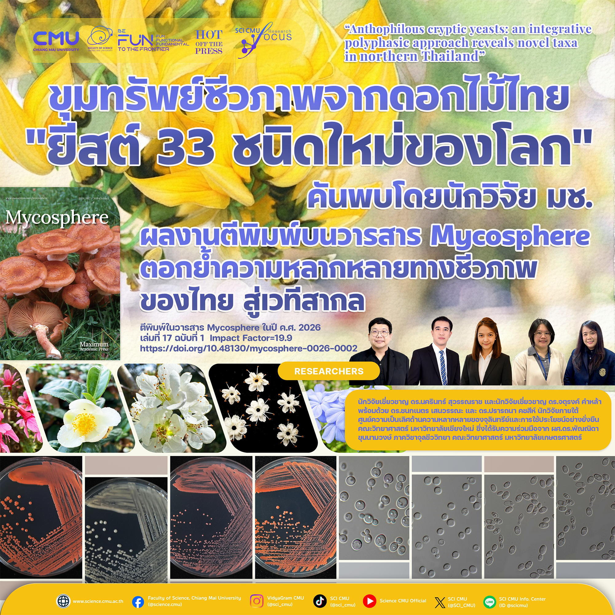ขุมทรัพย์ชีวภาพจากดอกไม้ไทย นักวิจัย มช. ค้นพบ ยีสต์ชนิดใหม่ของโลก 33 ชนิด